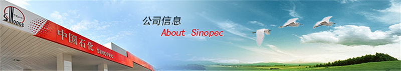 中石化股份有限公司